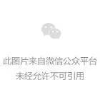 如何评估篮球新人的进步和发展_1